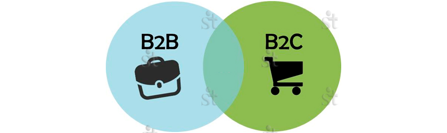  Схематические иконки B2B и B2C и область их пересечения