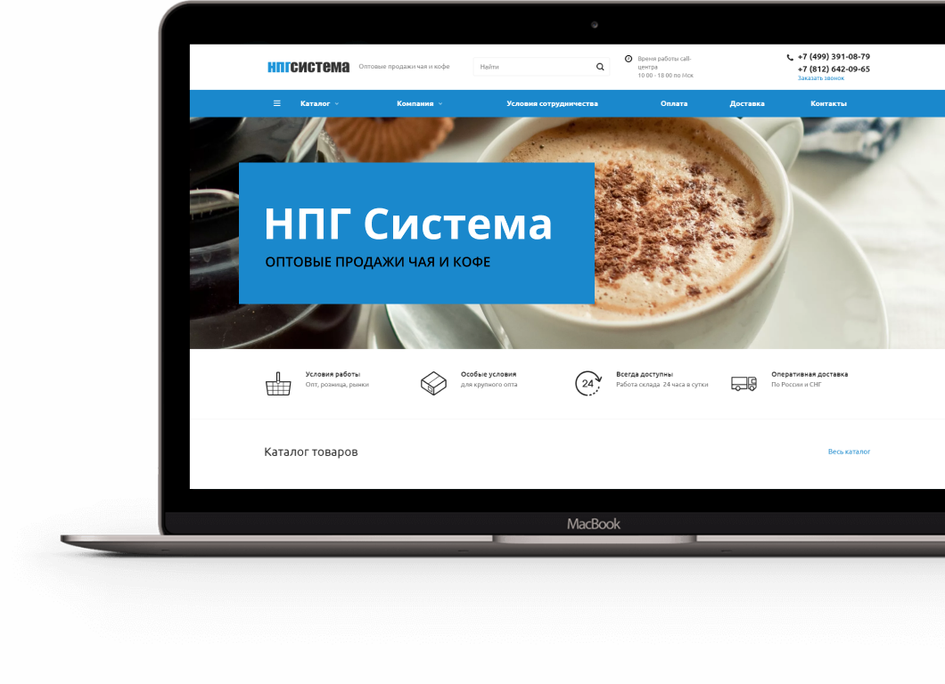 Сриншот desctop версии сайта ngpss.ru
